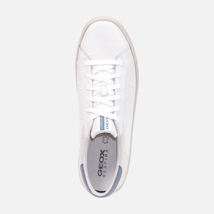 Geox Warley Sneakers Herre Hvide Blå | MDI-678452